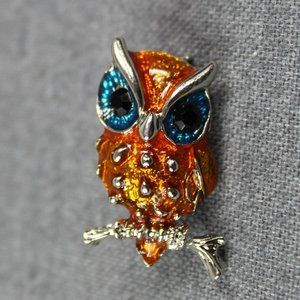Owl Brooch